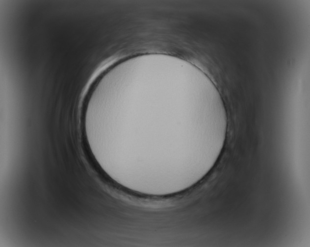 X0000082970008200703020244