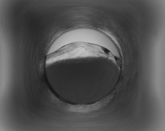 X0000082970009200703020244