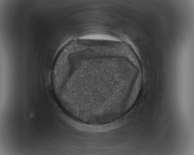 X0000082970010200703020244
