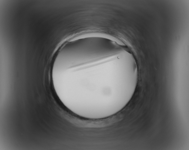 X0000082970011200703020244