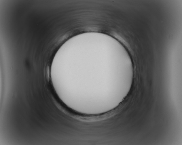 X0000082970013200703020244