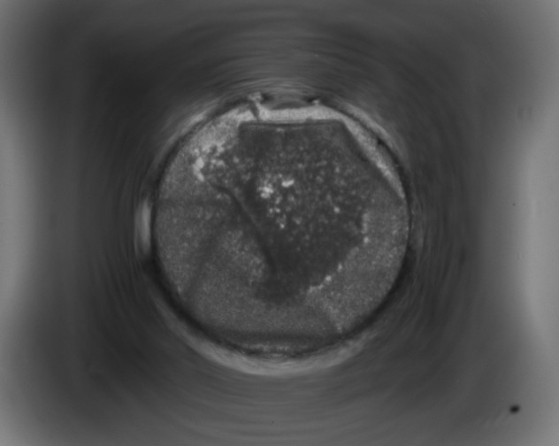 X0000082970014200703020244