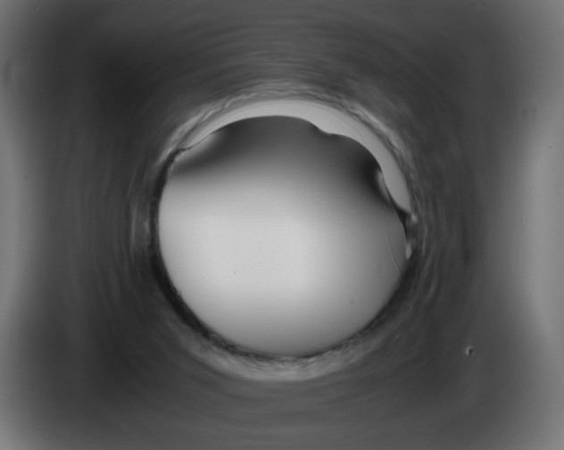 X0000082970015200703020244