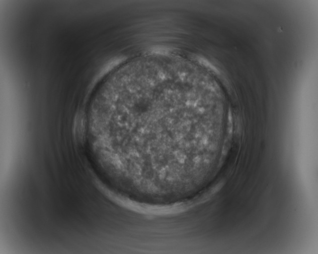 X0000082970016200703020244