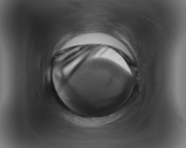 X0000082970019200703020244