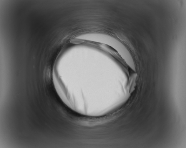 X0000082970021200703020244