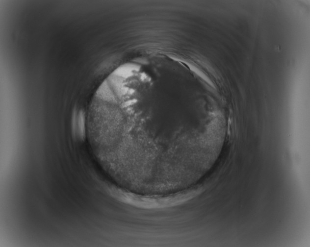 X0000082970022200703020244
