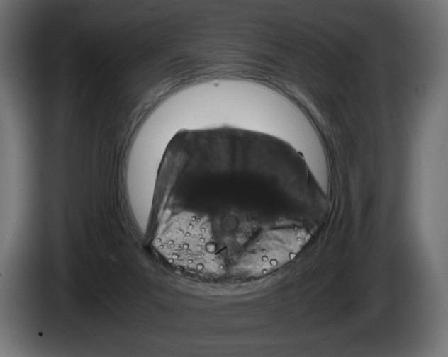 X0000082970023200703020244