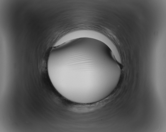 X0000082970025200703020244