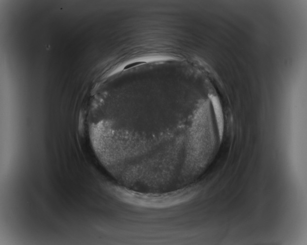 X0000082970026200703020244