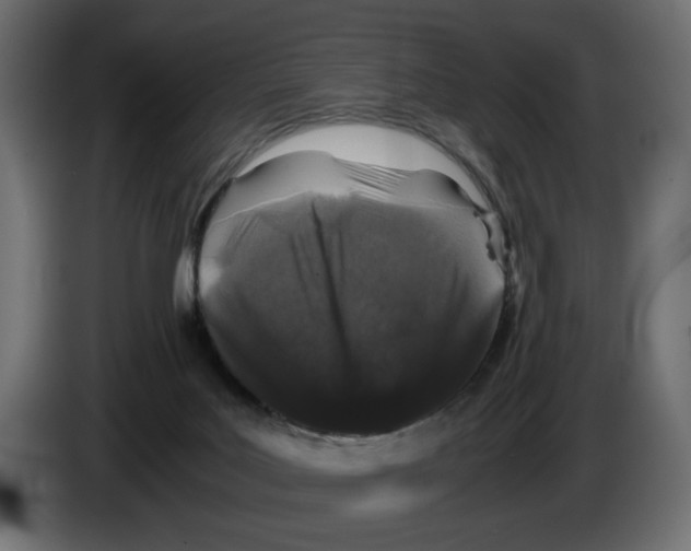 X0000082970027200703020244