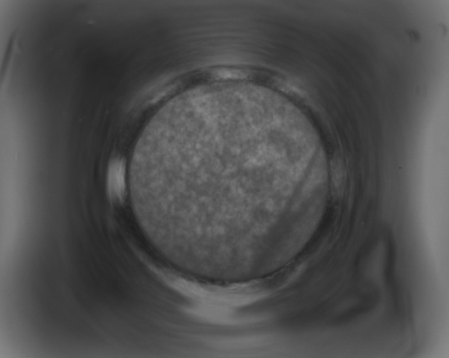 X0000082970028200703020244