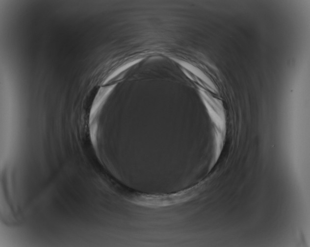 X0000082970029200703020244
