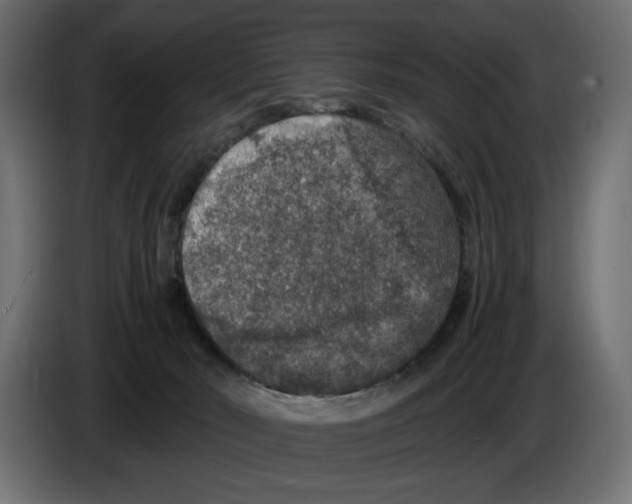X0000082970030200703020244