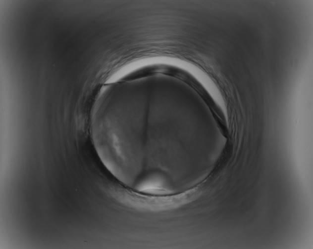 X0000082970031200703020244
