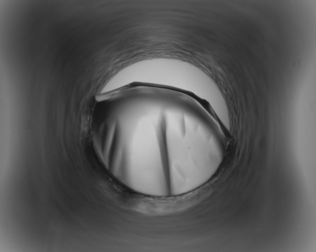 X0000082970033200703020244
