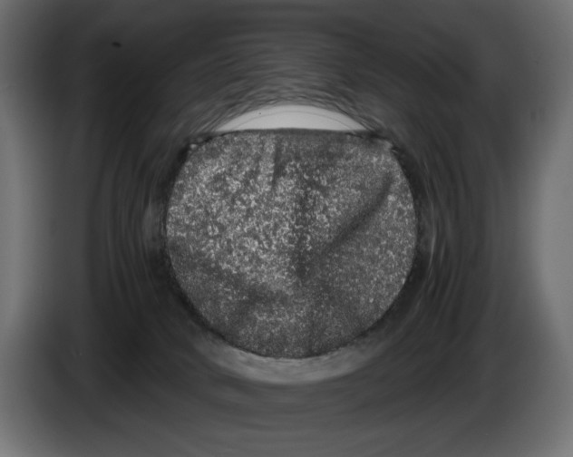 X0000082970034200703020244