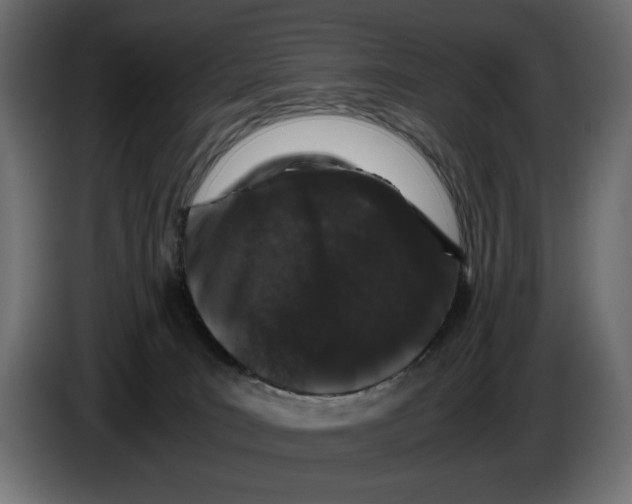 X0000082970035200703020244