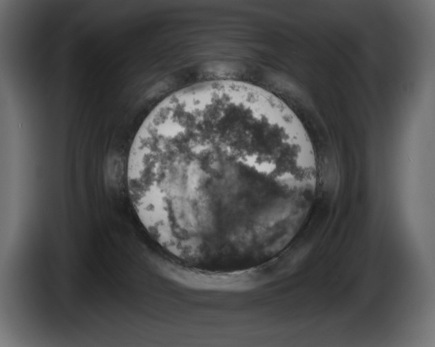 X0000082970036200703020244