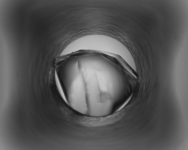 X0000082970037200703020244