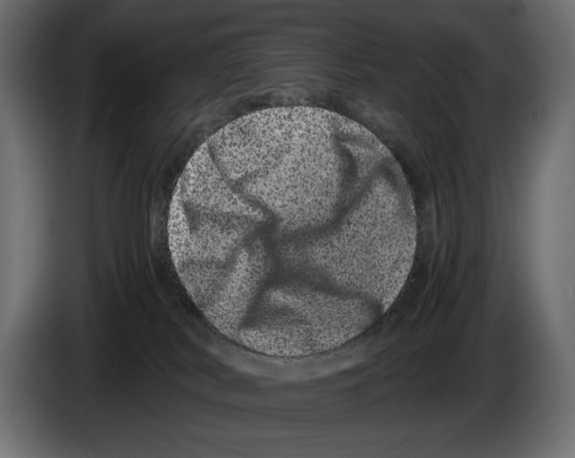 X0000082970038200703020244
