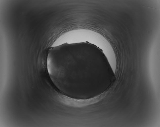 X0000082970039200703020244