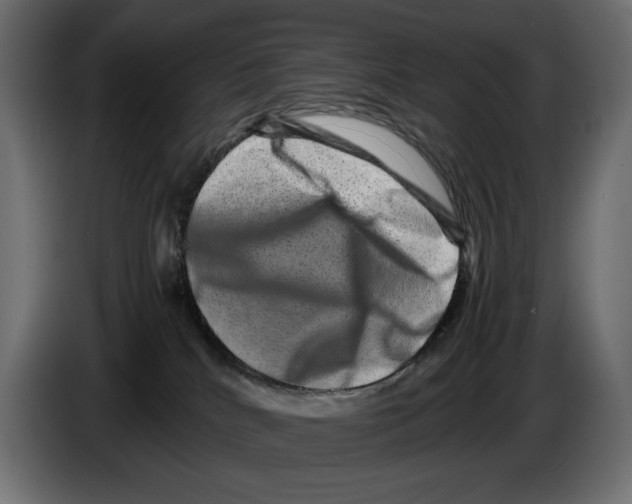X0000082970040200703020244