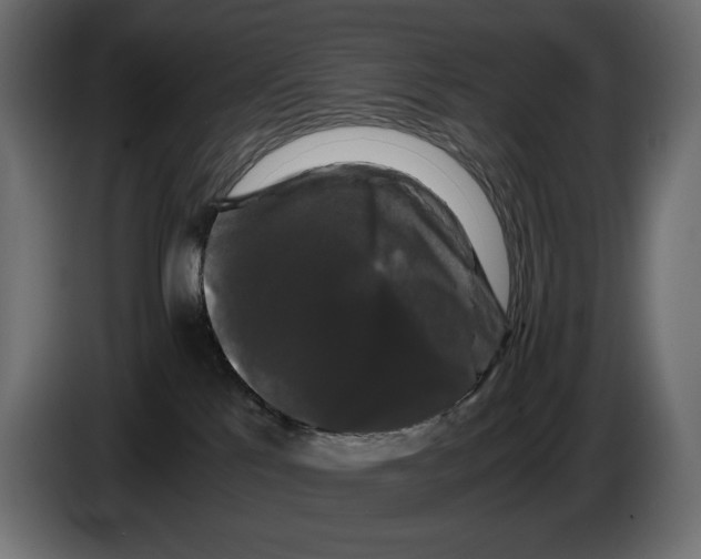 X0000082970041200703020244