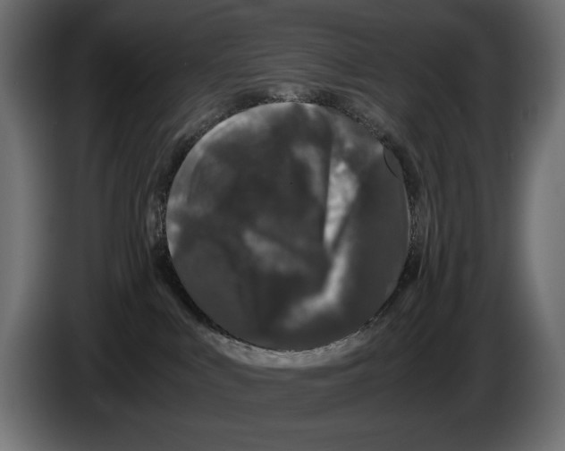 X0000082970043200703020244