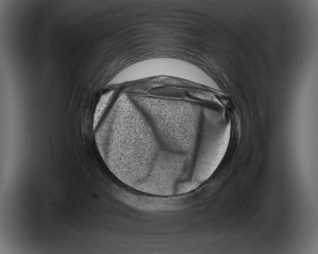 X0000082970044200703020244