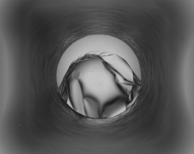X0000082970045200703020244