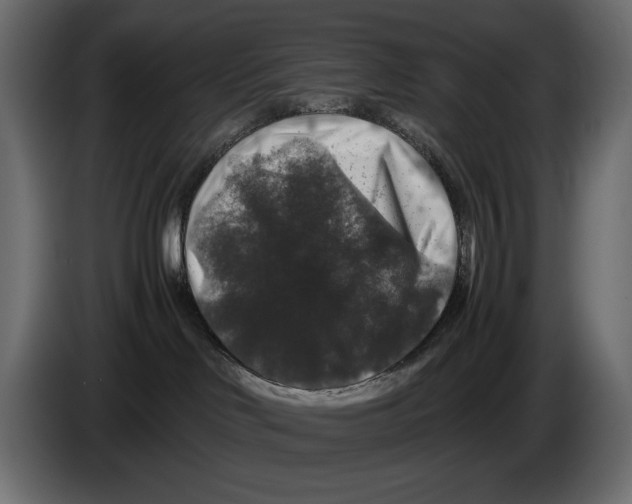 X0000082970046200703020244