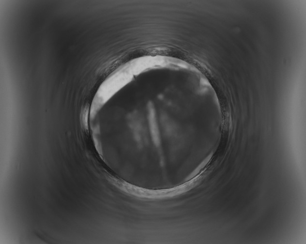 X0000082970047200703020244