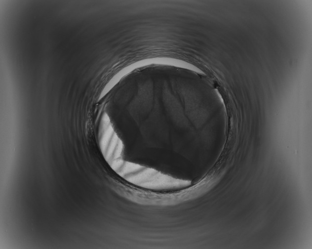 X0000082970048200703020244