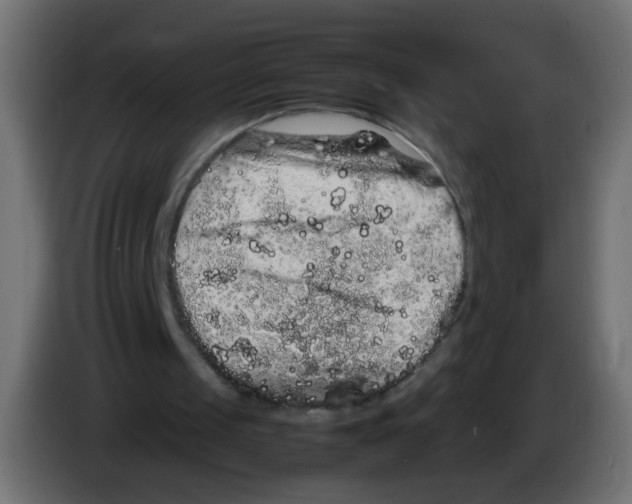 X0000082970049200703020243