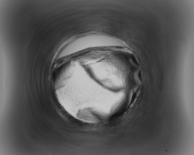 X0000082970050200703020243