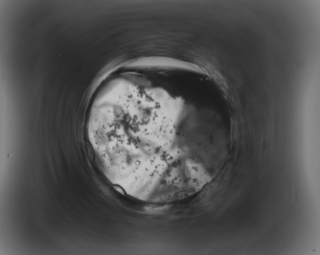 X0000082970051200703020243