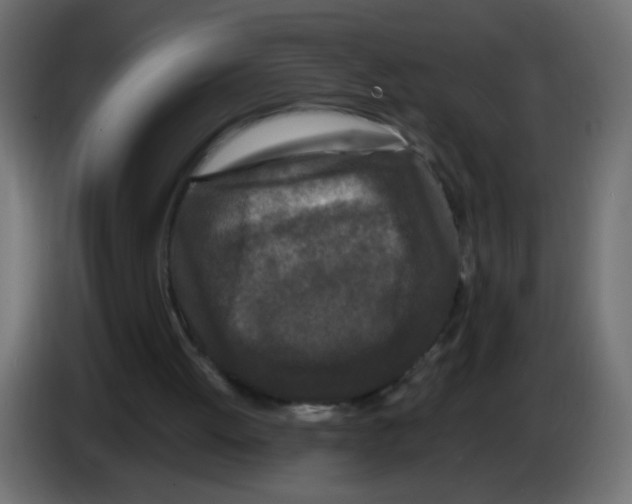 X0000082970052200703020243