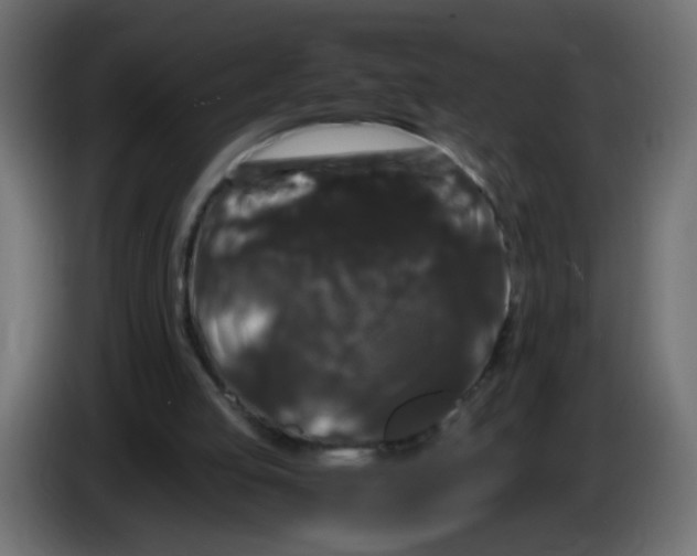 X0000082970053200703020243