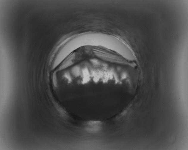 X0000082970055200703020243