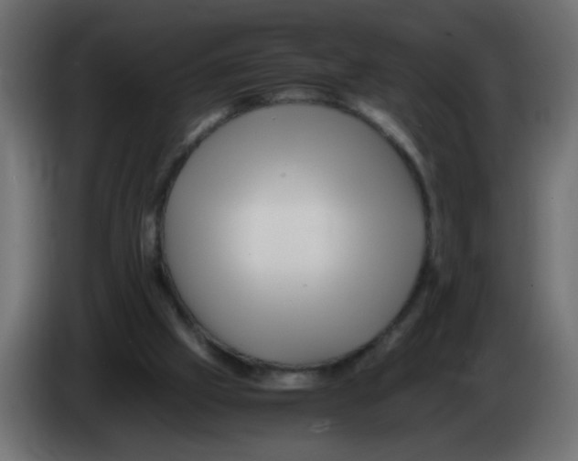 X0000082970057200703020243
