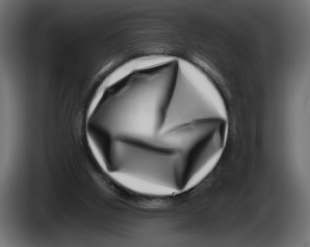 X0000082970058200703020243