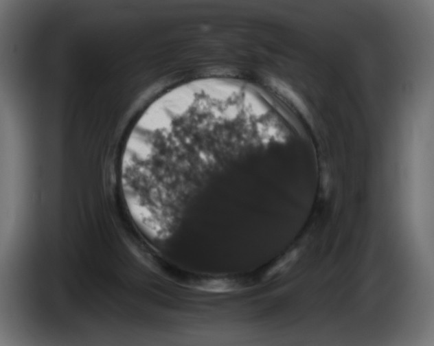 X0000082970059200703020243