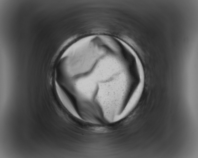 X0000082970060200703020243