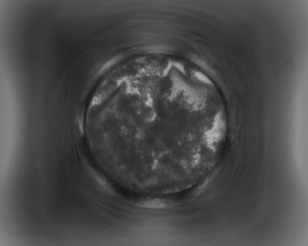 X0000082970062200703020243