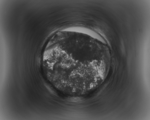 X0000082970063200703020243