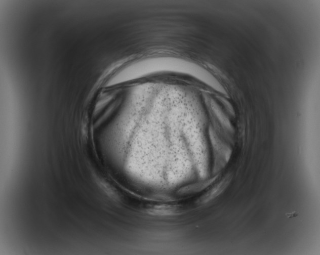 X0000082970064200703020243