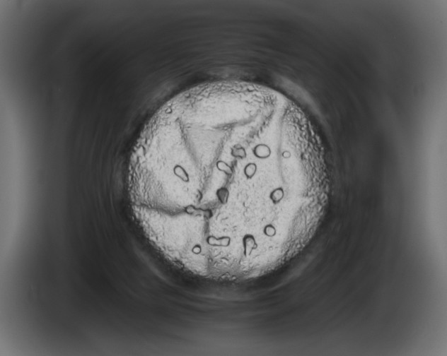 X0000082970065200703020243
