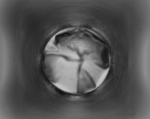 X0000082970066200703020243