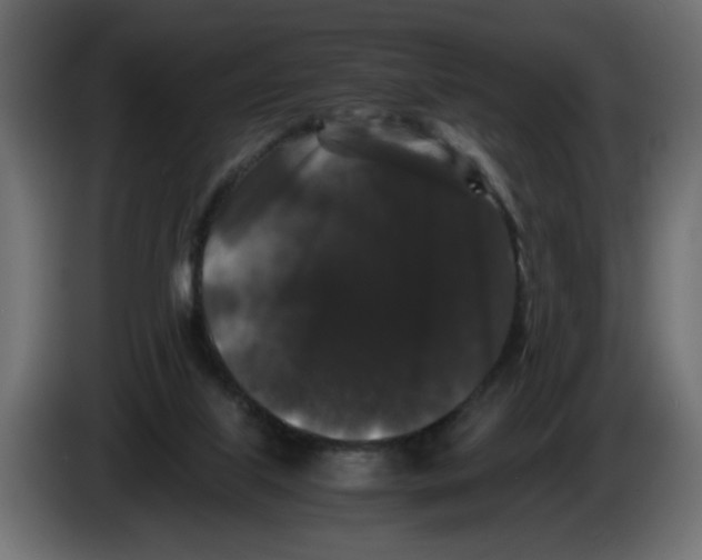 X0000082970067200703020243